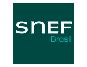 logo_snef_
