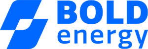 LOGO BOLD AZUL